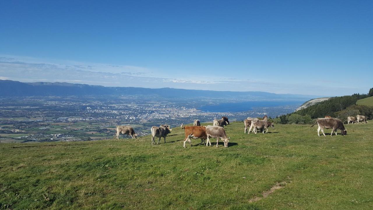 Appartement Au Calme Avec Terrasse Verdoyante Entre Annecy Et Geneve Villy-le-Pelloux Zewnętrze zdjęcie